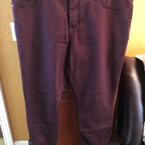 d.jeans jean burgundy 12P
